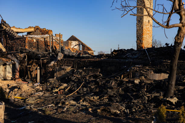 Reliable Fire Damage Repair contractor in Arizona, AZ by Fire Damage Doption